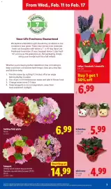 Lidl weekly ad week 7 Page 3