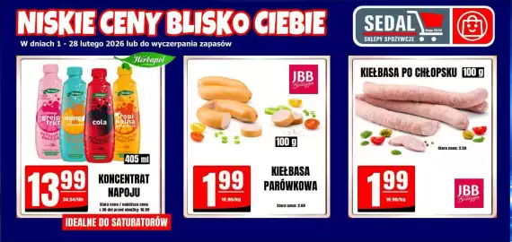 Sedal gazetka Strona 1