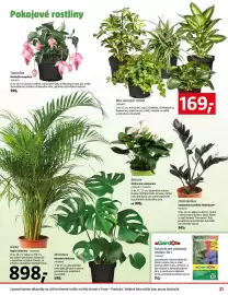 Bauhaus leták Strana 21