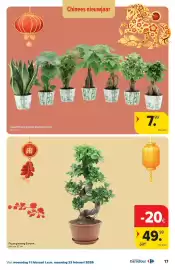 Carrefour folder Pagina 17