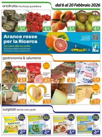 Volantino DiMeglio Pagina 2