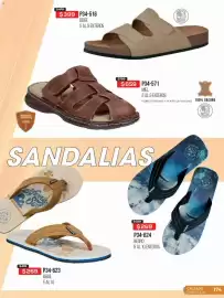 Catálogo Cklass Página 175