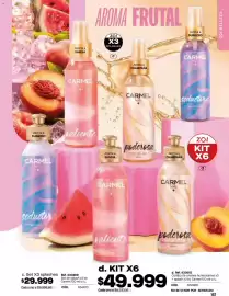 Catálogo Pacífika semana 6 Página 167