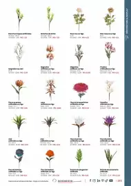 Catalogue Retif page 215