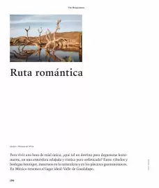 Catalogue Lipault page 196