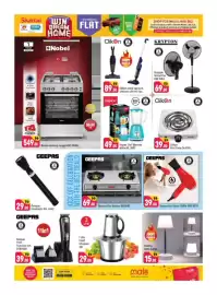 Shaklan leaflet Page 10