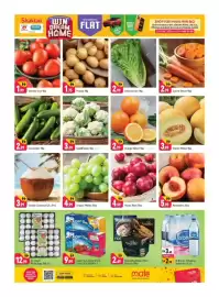 Shaklan leaflet Page 2