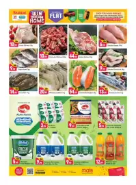 Shaklan leaflet Page 3