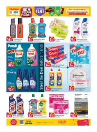 Shaklan leaflet Page 8