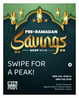 Bigmart leaflet (valid until 8-02)