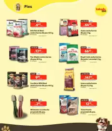 Kakadu gazetka Strona 3