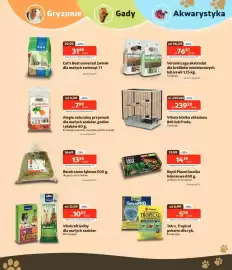 Kakadu gazetka Strona 6