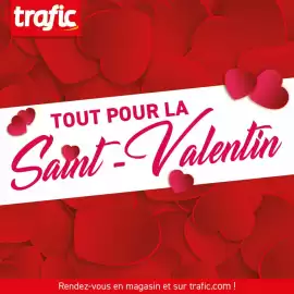 Catalogue Trafic page 1