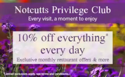 Notcutts Garden Centre leaflet Page 4