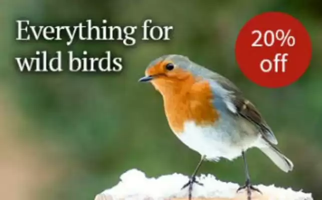 Notcutts Garden Centre leaflet (valid until 10-02)