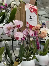 Catalogue Truffaut page 3