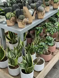 Catalogue Truffaut page 5