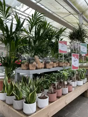 Catalogue Truffaut (valable jusqu'au 22-02)