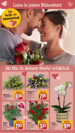 REWE DE tilbudsavis uge 7 Side 16