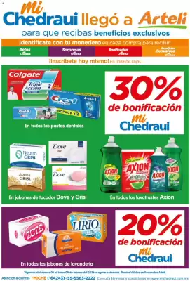 Folleto Arteli (válido hasta 10-02)