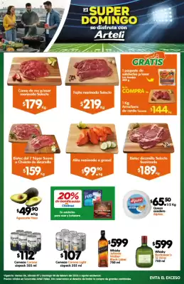 Folleto Arteli (válido hasta 9-02)