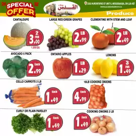 Al-Quds Supermarket flyer week 6 Page 3