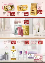 Encarte Festval Página 5