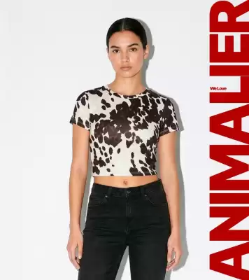 Folleto Terranova (válido hasta el 12-02)