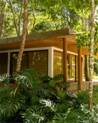 Catálogo Richards (válido até 12-02)