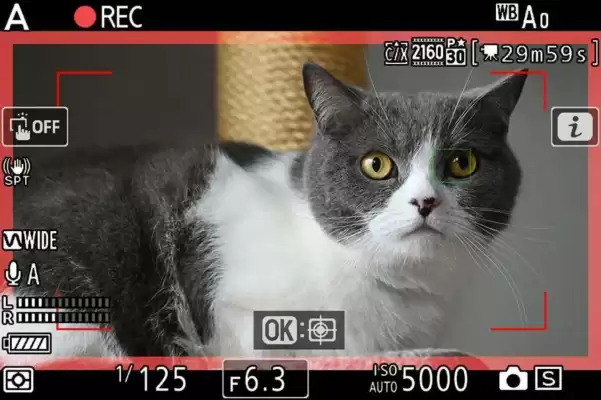 Catálogo Nikon (válido hasta 28-02)