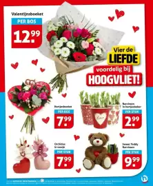 Hoogvliet folder week 7 Pagina 17