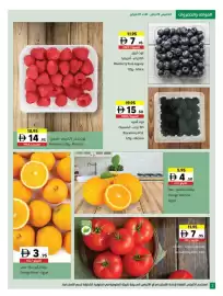 Sharjah Co-op catalogue Page 2