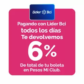 Catálogo Lider Página 33