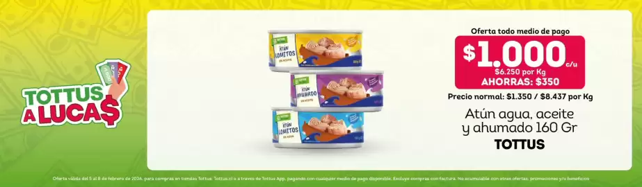 Catálogo Tottus Página 6