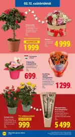 Lidl akciós újság hét 7 Oldal 18
