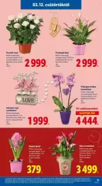 Lidl akciós újság hét 7 Oldal 19