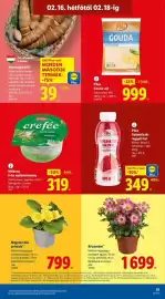 Lidl akciós újság hét 7 Oldal 51