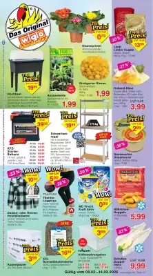 Wiglo Wunderland Prospekt (gültig bis 14-02)