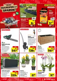 Hagebau Prospekt woche 6 Seite 5