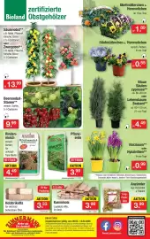 Zimmermann Prospekt woche 7 Seite 10