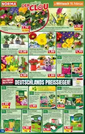 Norma Prospekt woche 8 Seite 14