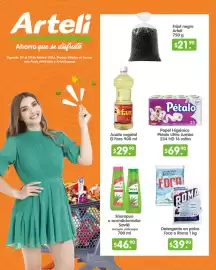 Folleto Arteli Página 1