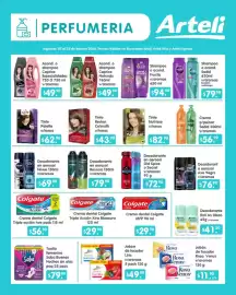 Folleto Arteli Página 13