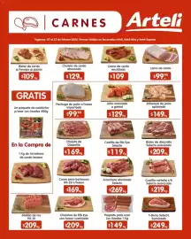 Folleto Arteli Página 9