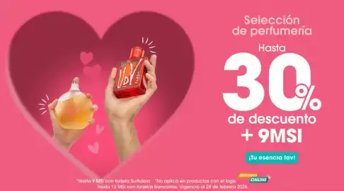 Catálogo Surtidora Departamental Página 1