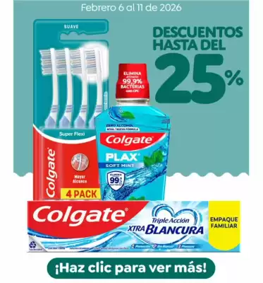 Catálogo Mercaldas (válido hasta 11-02)