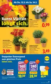 Lidl Flugblatt woche 7 Seite 27