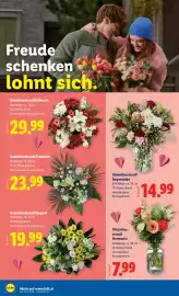 Lidl Flugblatt woche 7 Seite 28