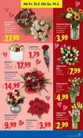 Lidl Flugblatt woche 7 Seite 29
