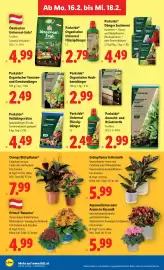 Lidl Flugblatt woche 7 Seite 30